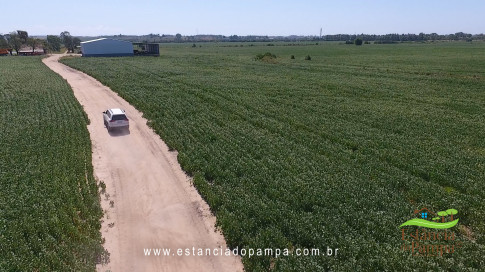 Marcello Caminha - Céu, Sol, Sul, Terra e Cor VDownloader.00_02_09_22.Quadro005_b03bb955ad3c54c03746387bb2a894deb52da4af.jpg